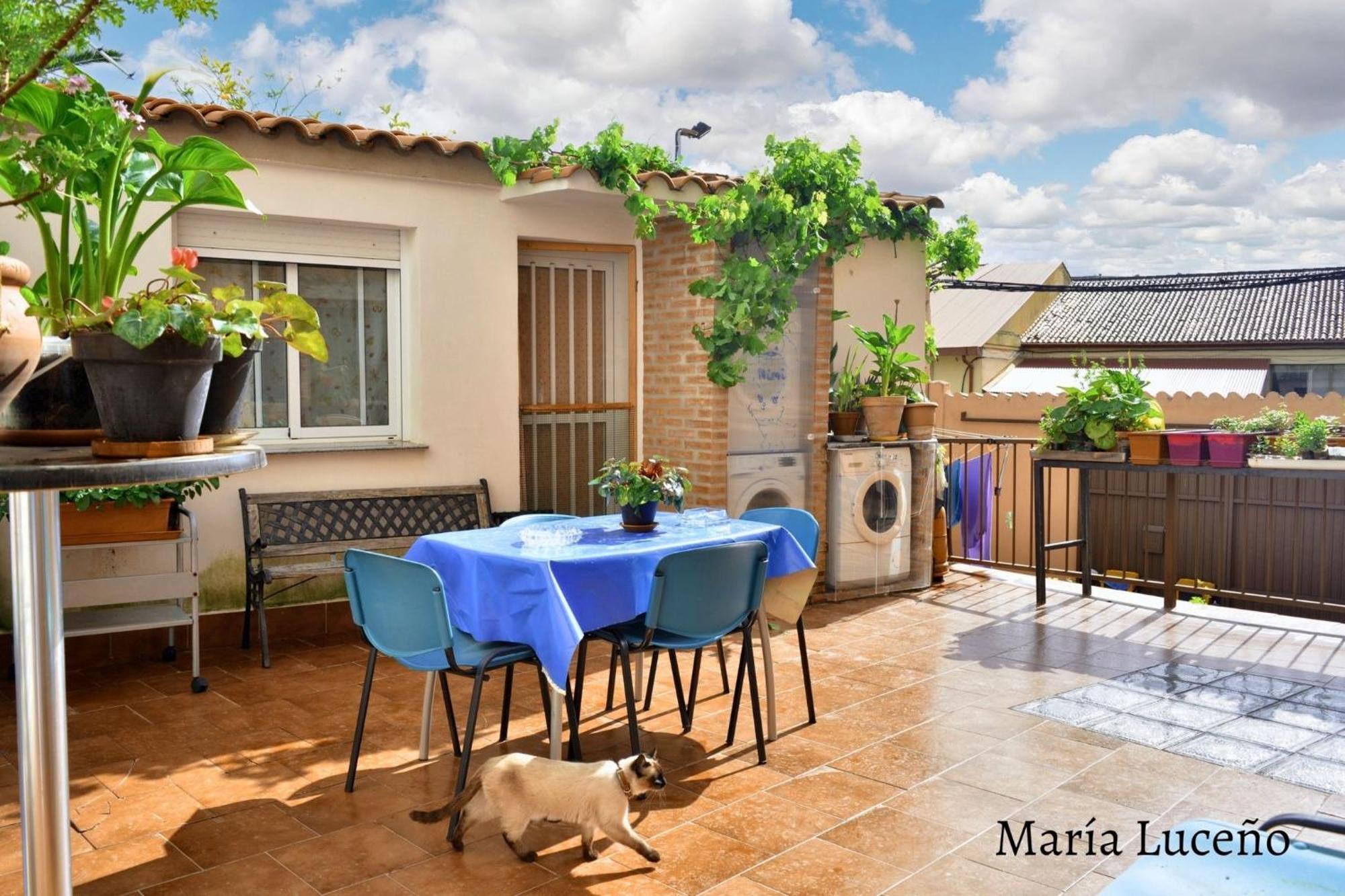 Comfortable Apartment In Caceres 55 M² Welcoming Terrace Extérieur photo